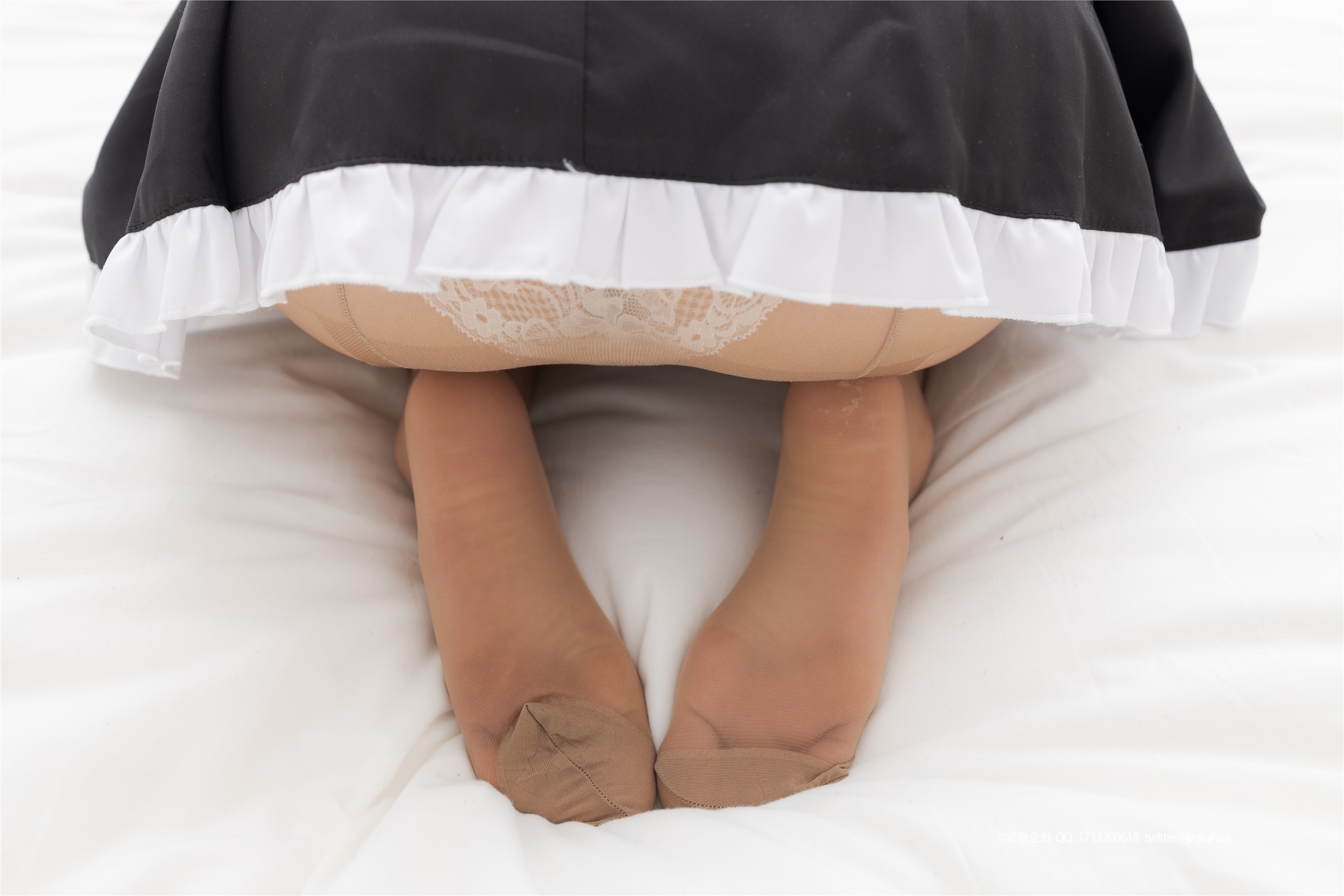 紧急企划  NO.010 一只喵喵梓